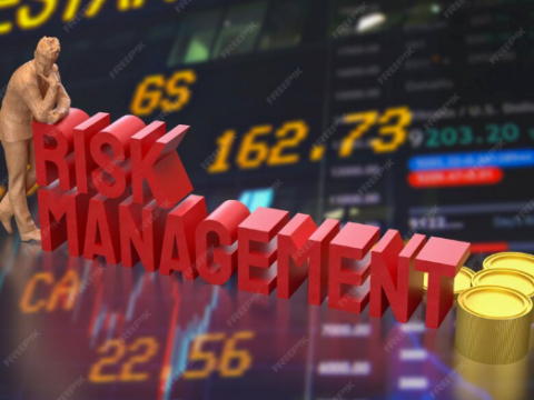 Master Risk Management in High-Return Investments
