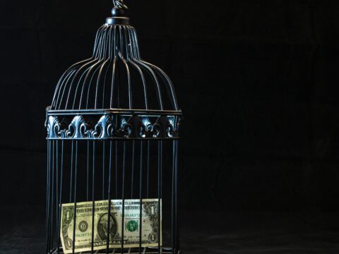 How to Create Multiple Income Streams for Financial Freedom